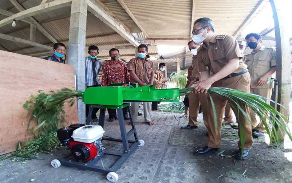 Kelebihan dan kurangan mesin pencacah rumput